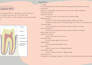 make easy medical study guide and notes for your courses